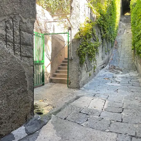 Coco Noir דירה *