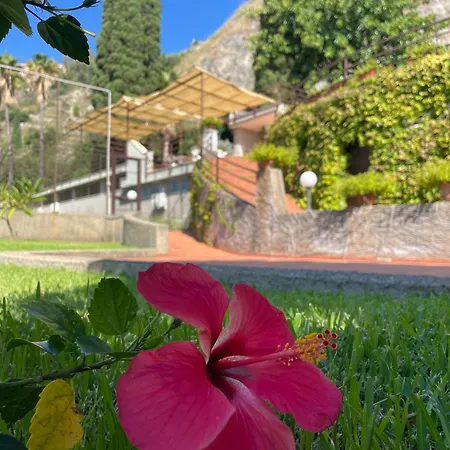 Coco Noir טאורמינה